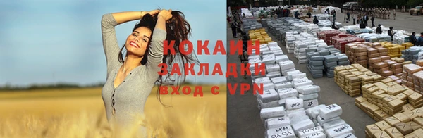 соль ск Богданович