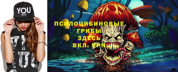 гашик Беломорск