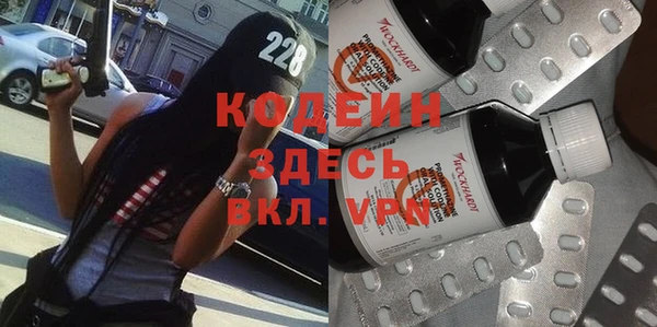 соль ск Богданович