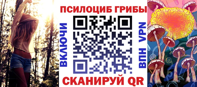 Купить закладки  Воскресенск  Псилоцибиновые грибы GOLDEN TEACHER 